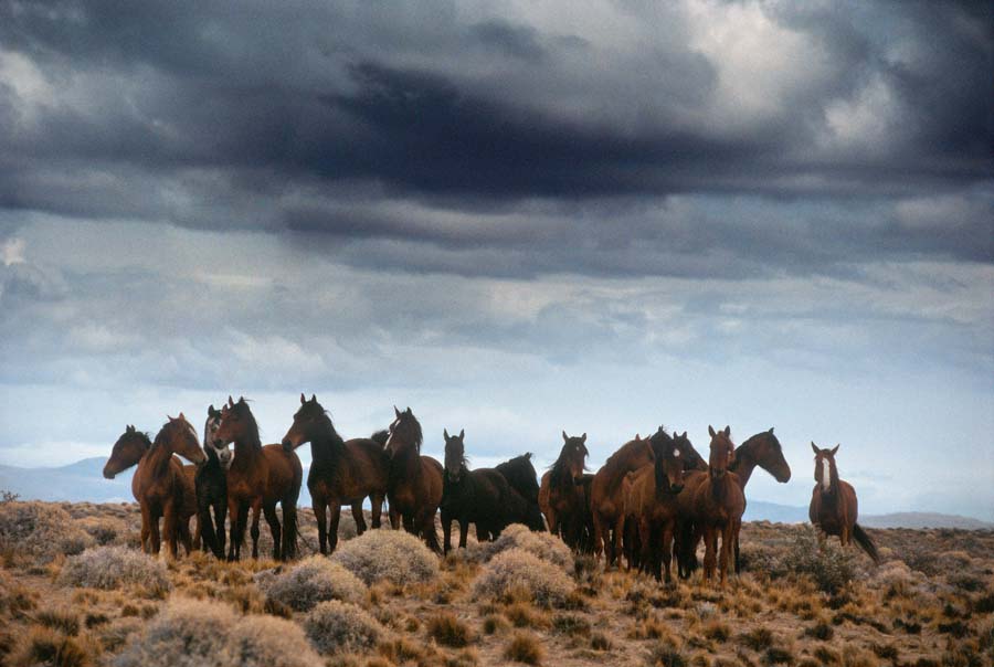 to bude ale burka !! 